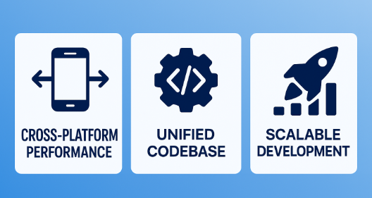 Cross Platform Web & App Development Company Graphic